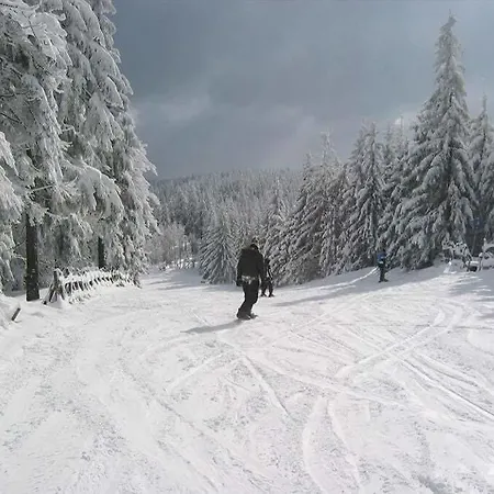 Διαμέρισμα Karolina Harrachov
